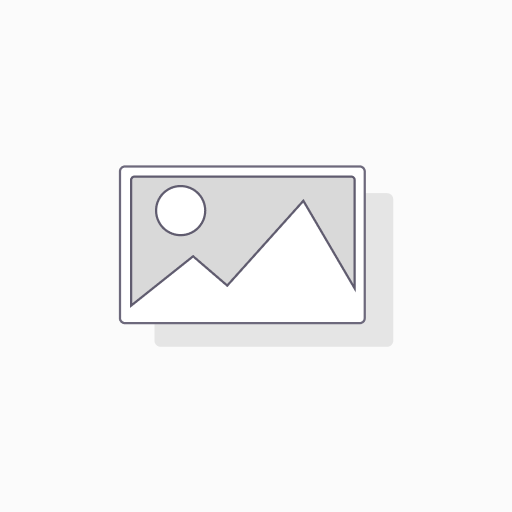 شانكي دجاج امريكانا 750 غم