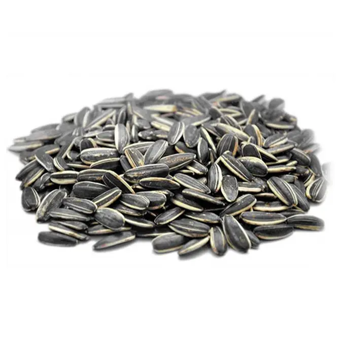 حب مصري سوبر خشن 