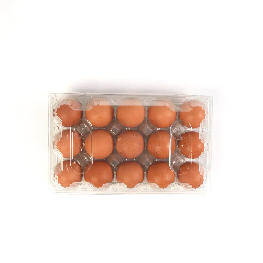 بيض احمر نصف طبقة