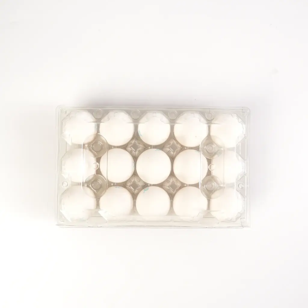 بيض ابيض نصف طبقة