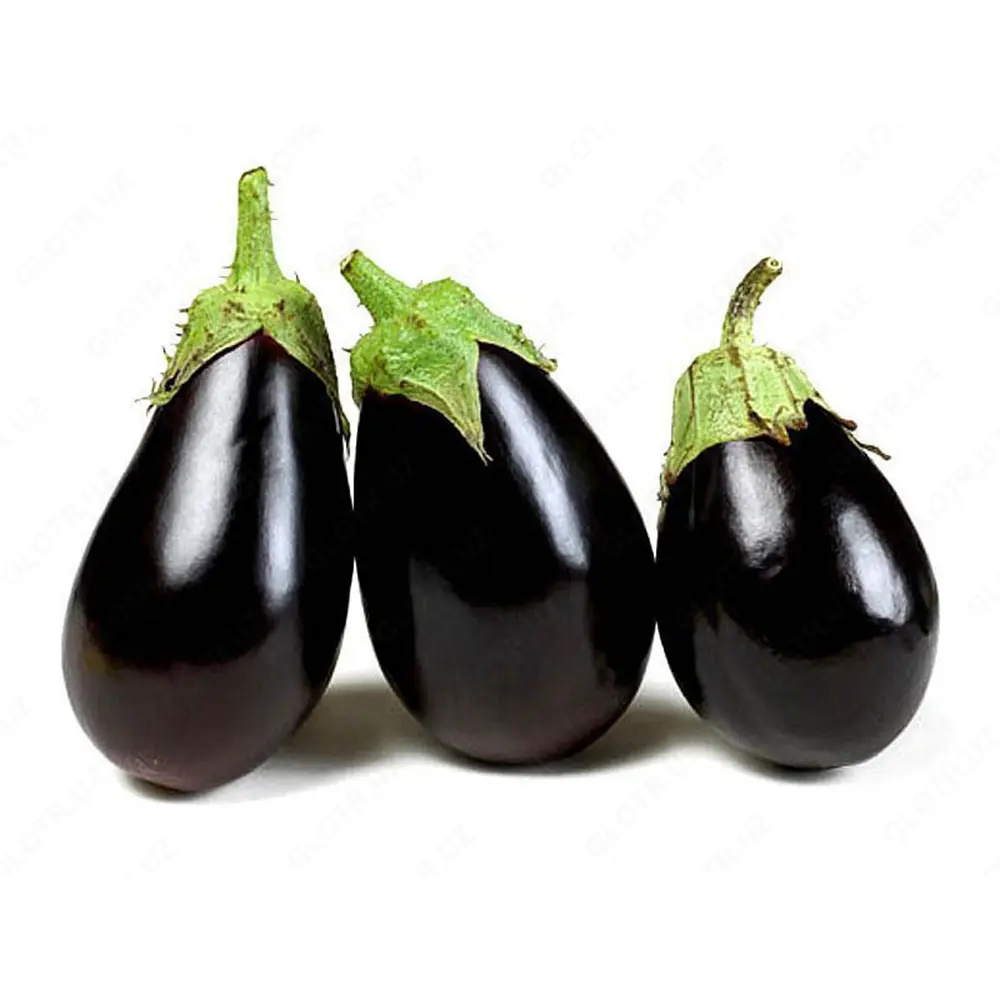 باذنجان اسود