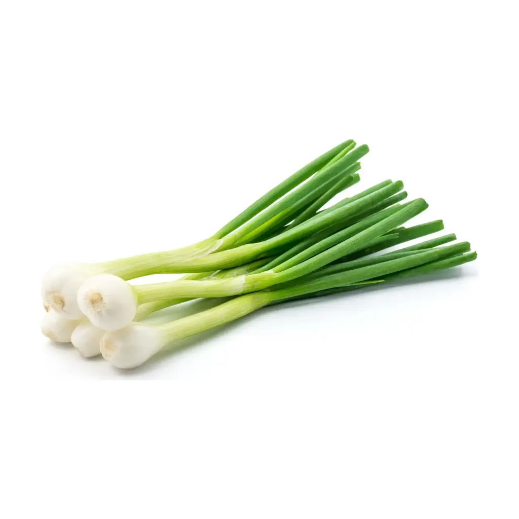 بصل اخضر 
