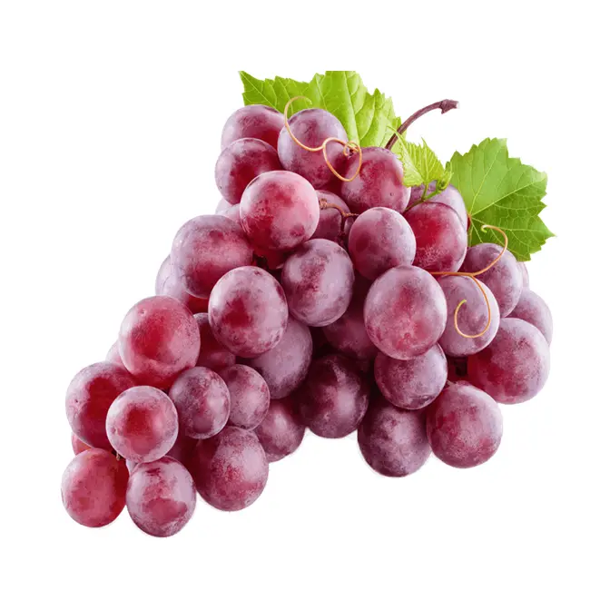 عنب كشمشي عراقي