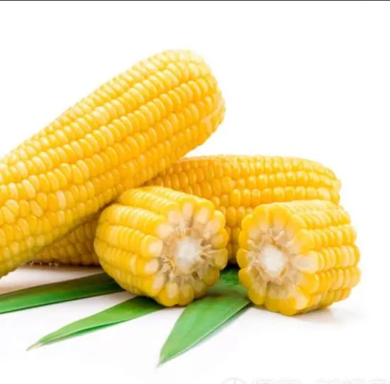 ذرة عراقية وزن