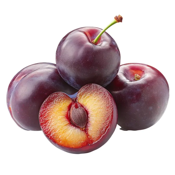 الو لسان الطير