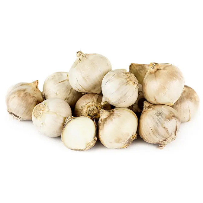 ثوم عجم وزن