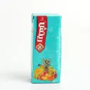 عصير فواكه مشكلة طبيعي علبة كارتونية ريتش 200 مل